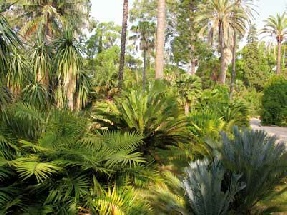 Jardins de la Villa Thret au Cap d'Antibes