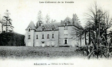 Château de la Haute-Cour à Réaumur