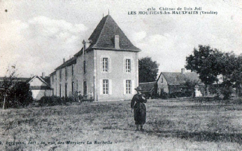 Château de Bois-Joli à Moutiers-les-Mauxfaits